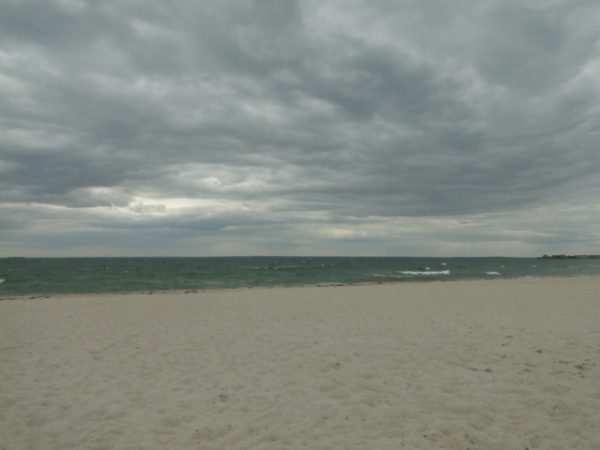 chasing the wind