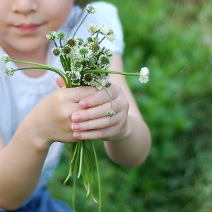 Wilted weeds