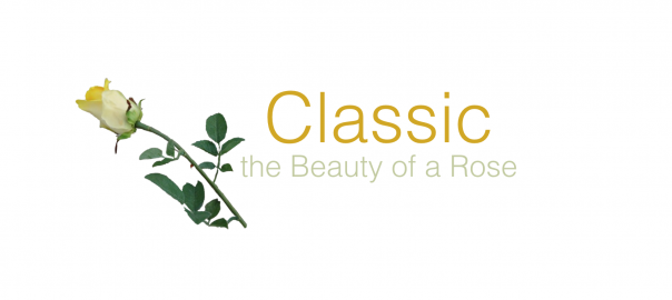 Classic – the Refined Beauty