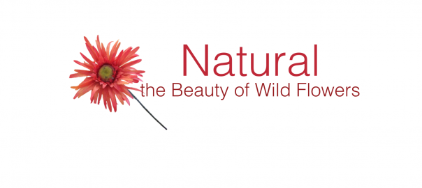 Natural – the Casual Beauty